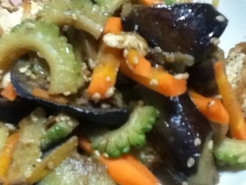 厚揚げとゴーヤとナスの焼肉のタレ炒め